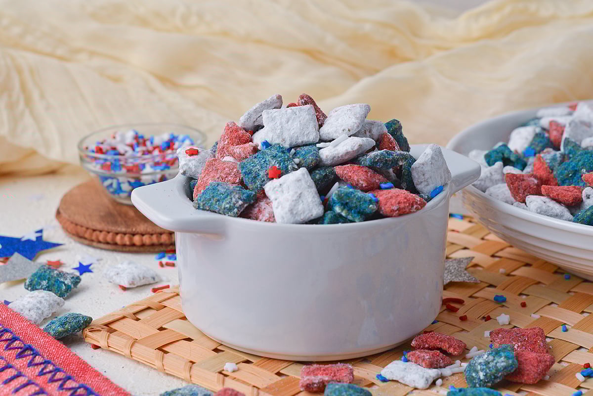 straight on shot of small bowl of patriotic puppy chow