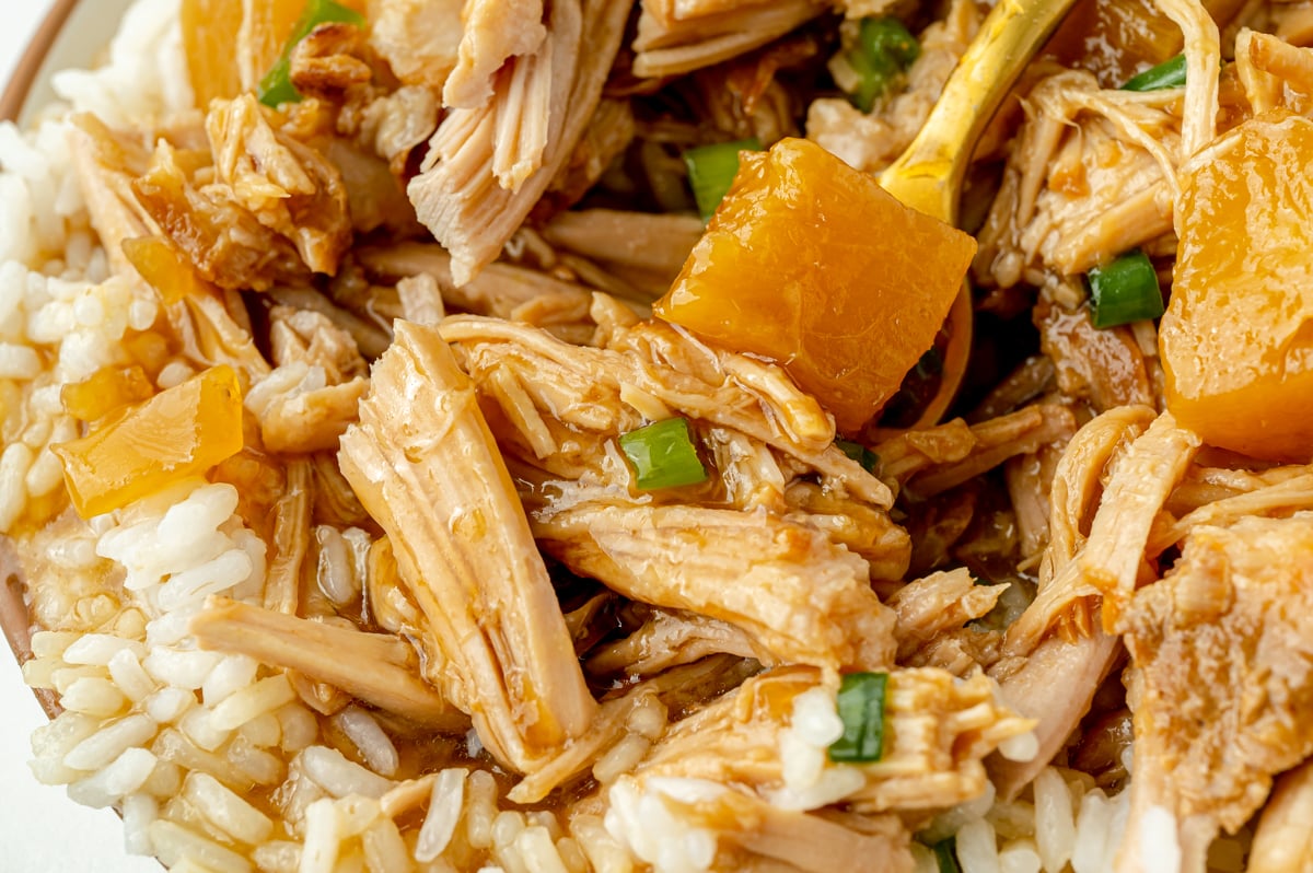 close up of bite of shredded pork on fork