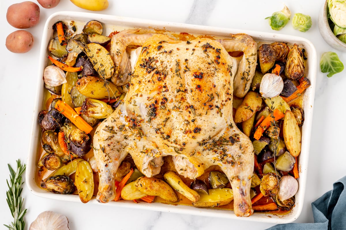 overhead shot of whole chicken on sheet pan with veggies