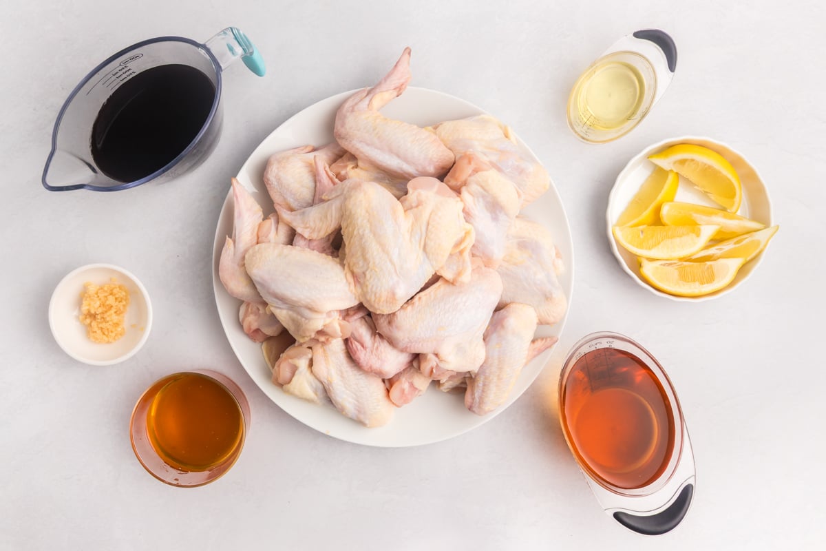 overhead shot of yakitori chicken ingredients