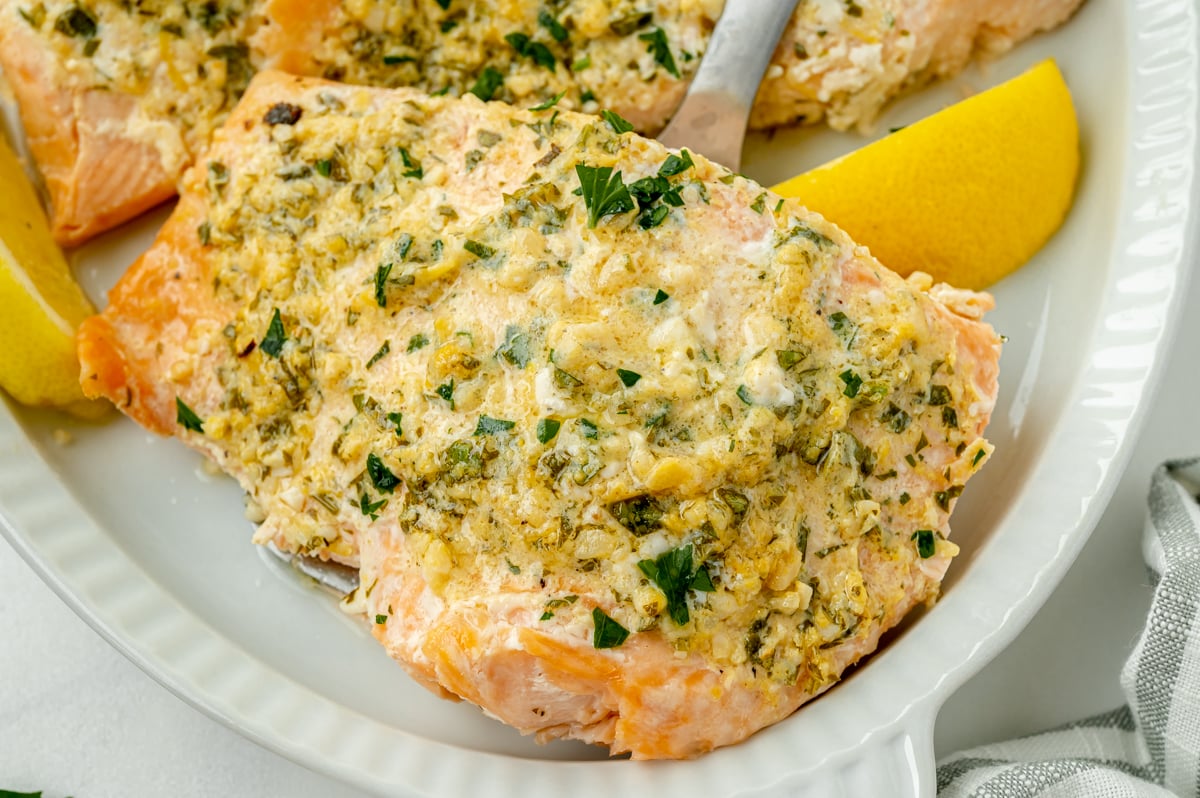 close up shot of salmon on spatula