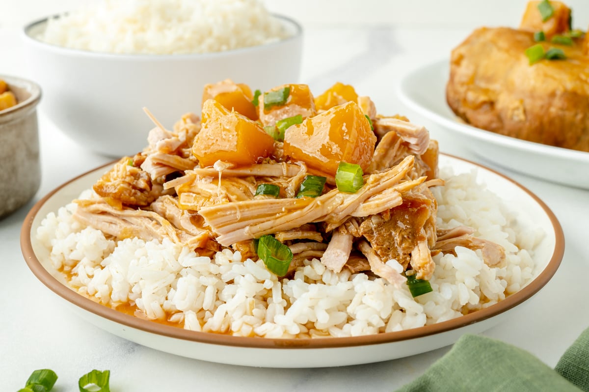 side angle of served crock pot pork loin 