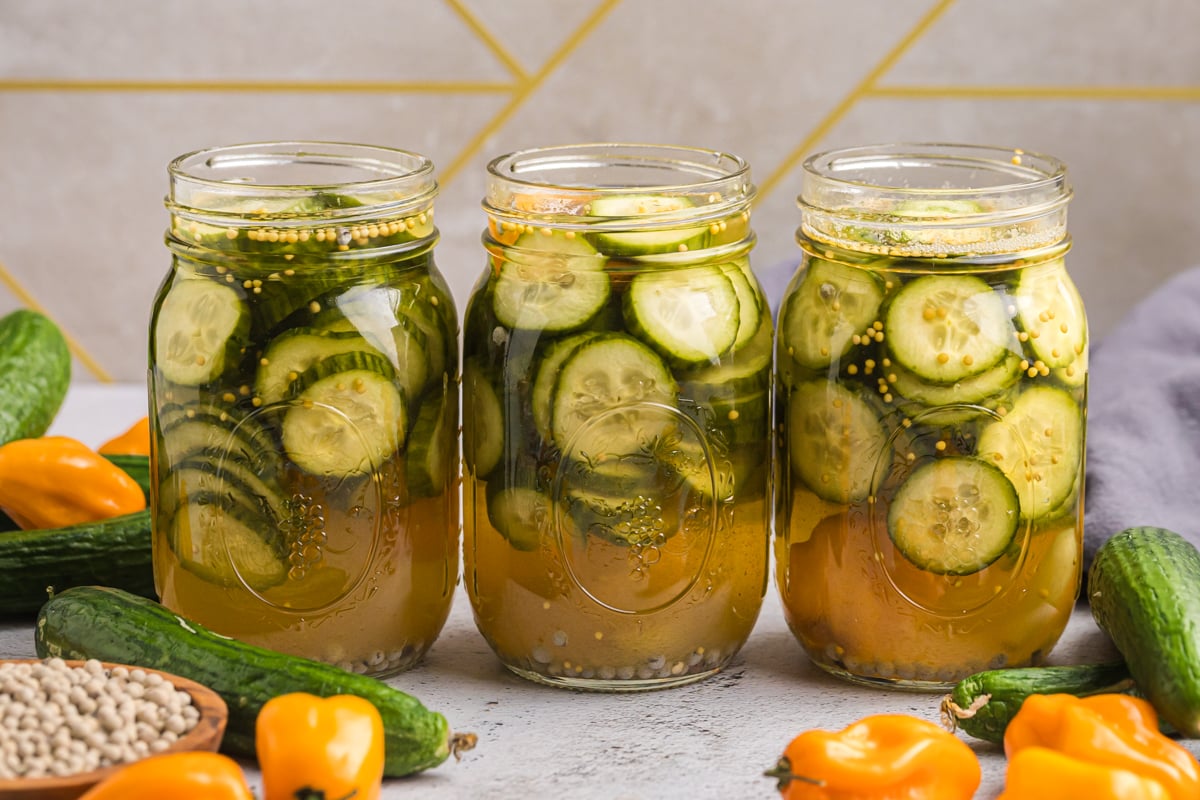 straight on shot of three jars of pickles