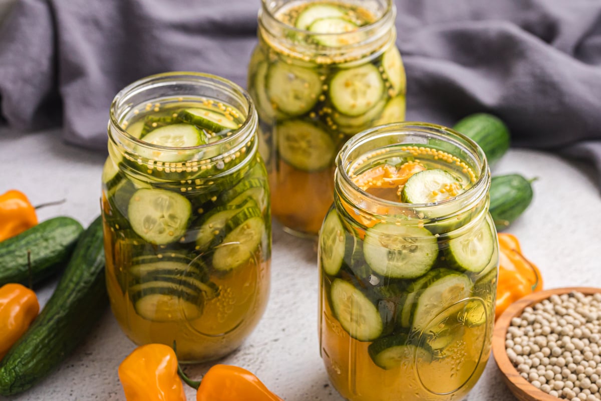 angled shot of three jars of spicy pickles