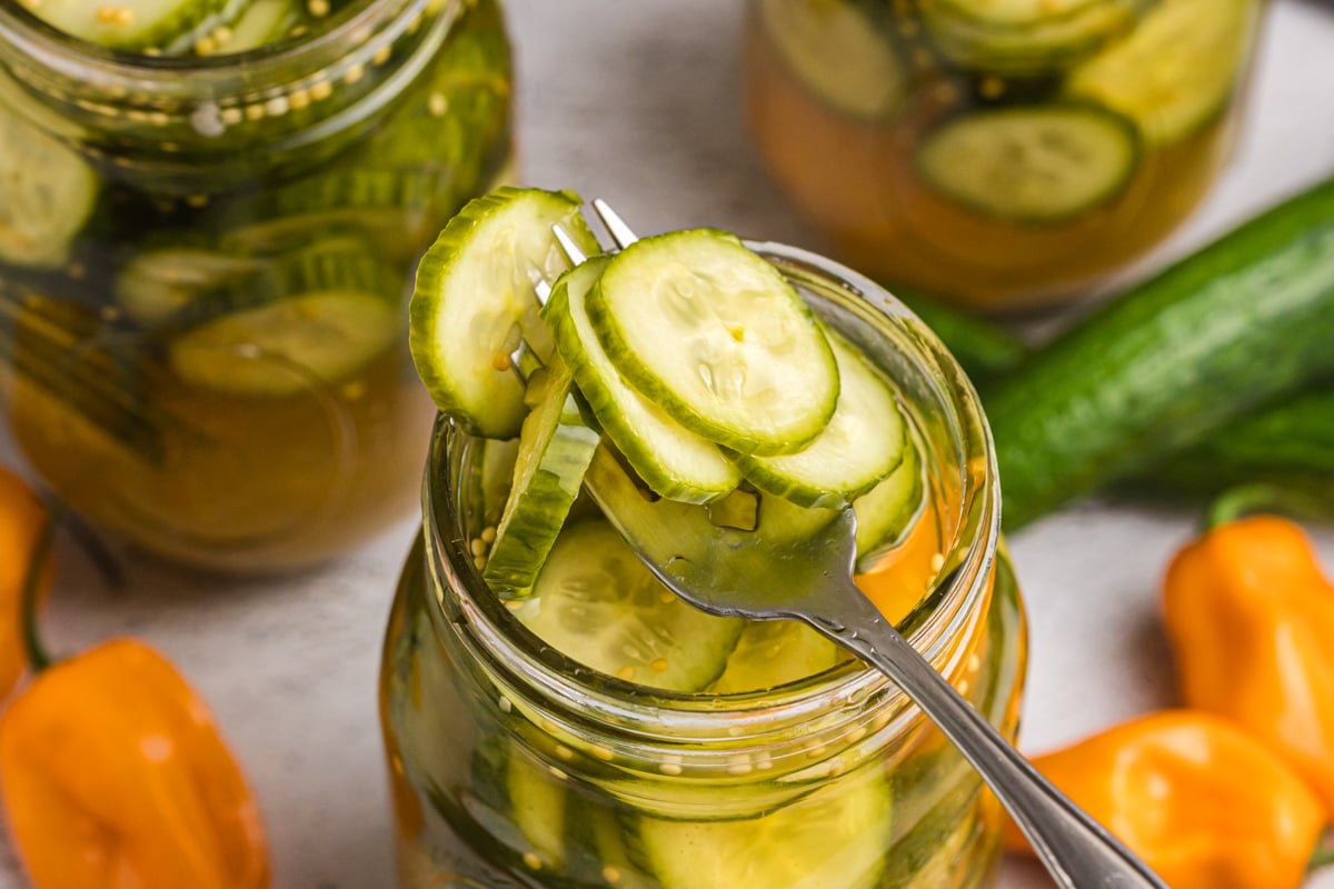 angled shot of fork in jar of pickles