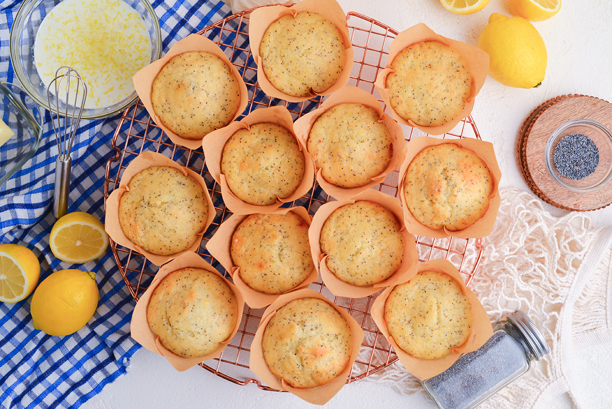 overhead shot of baked muffins on cooling rack