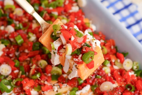 southern marinated cheese on fork