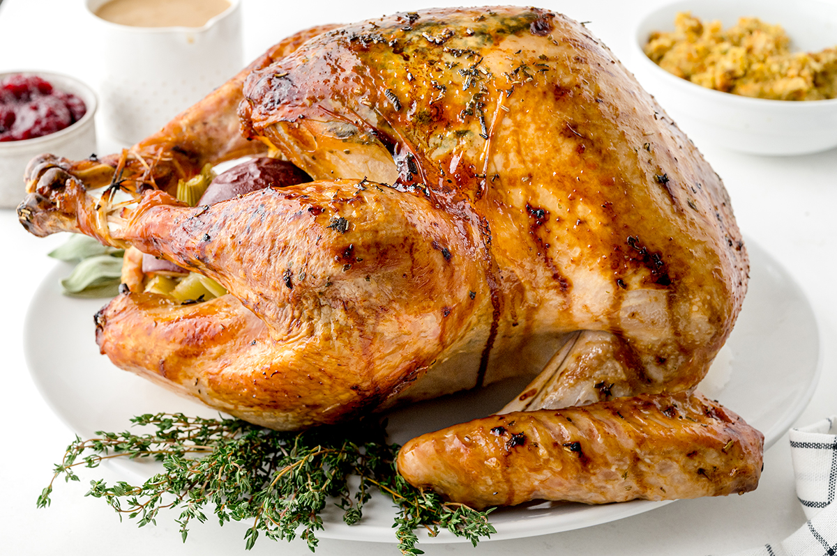 straight on shot of champagne turkey on platter with herbs