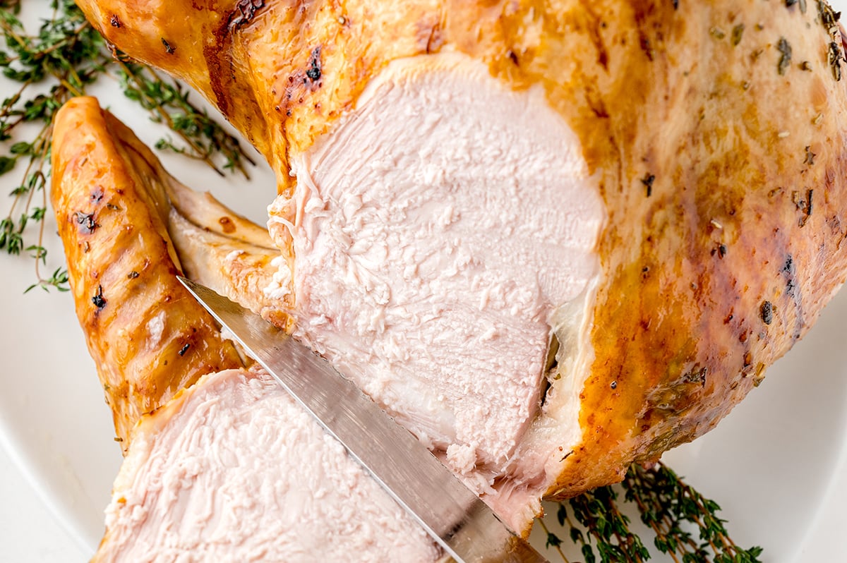 close up of knife slicing champagne turkey