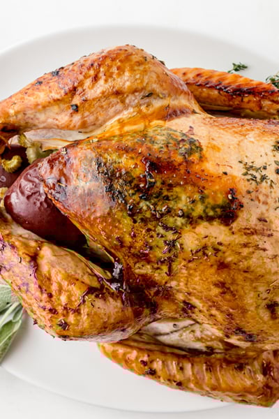 overhead shot of champagne turkey on platter