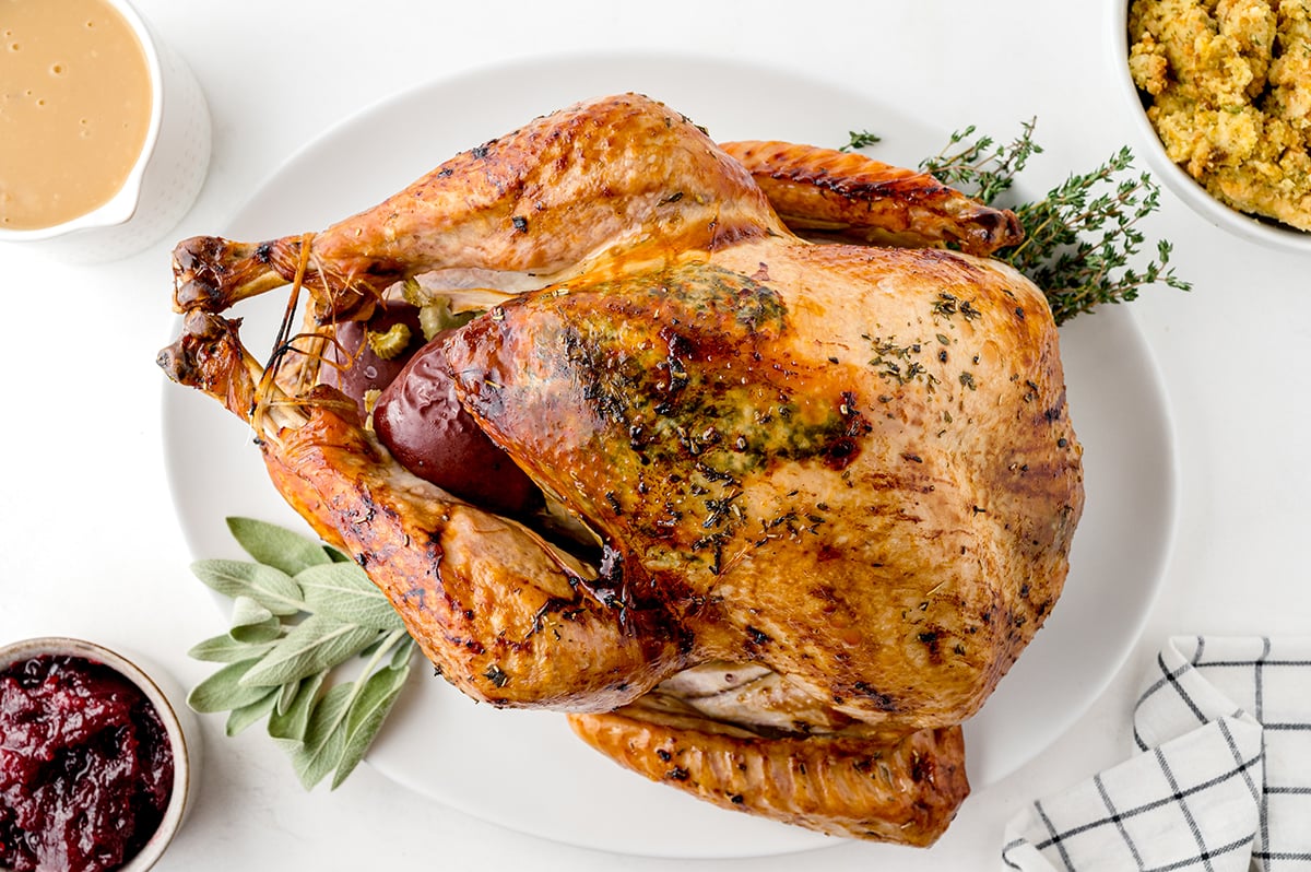 overhead shot of champagne turkey on platter