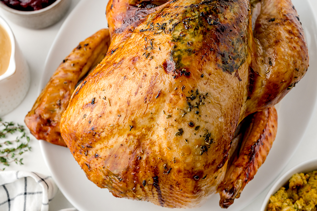close up of crispy turkey skin