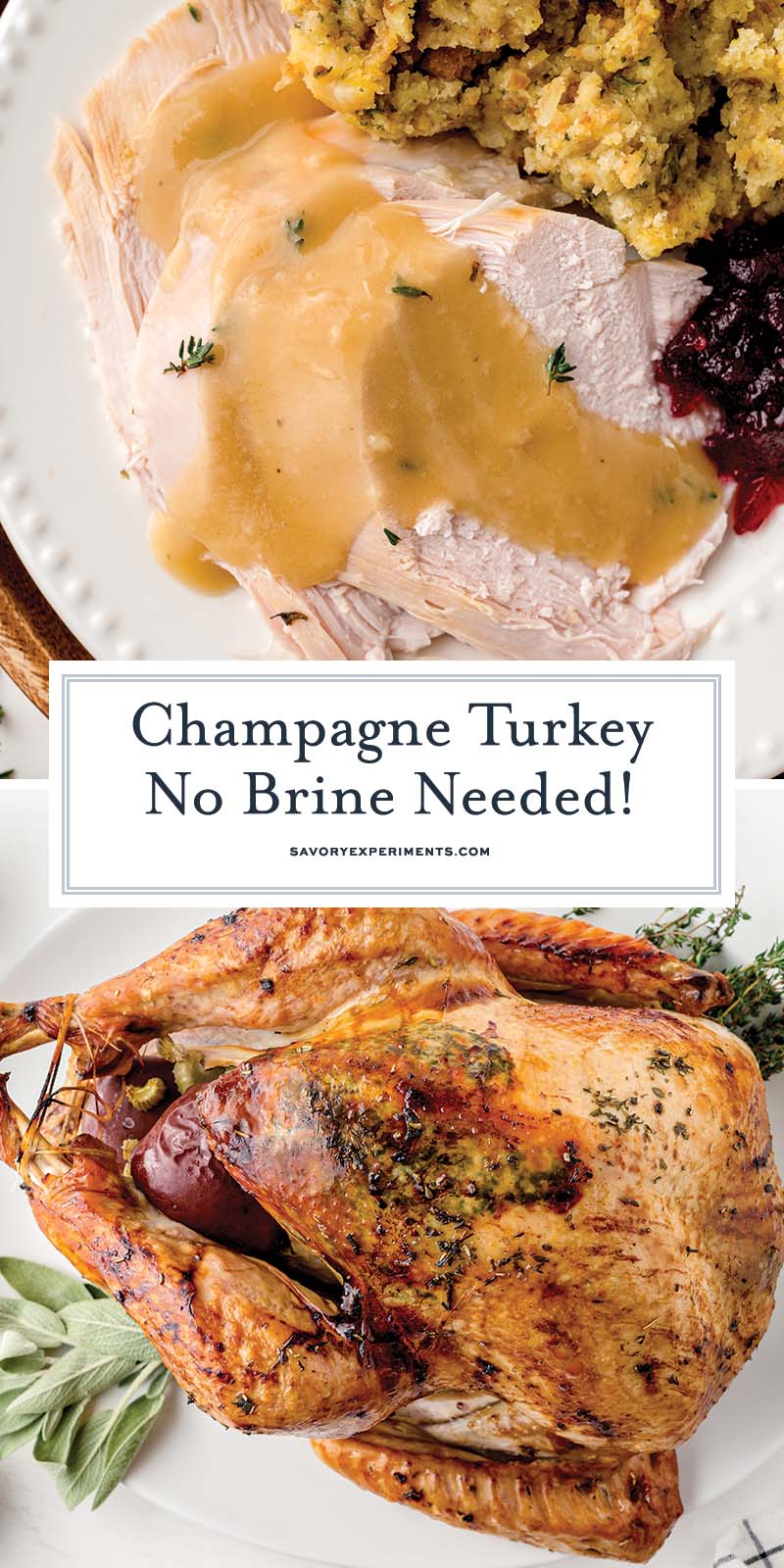 collage of champagne turkey