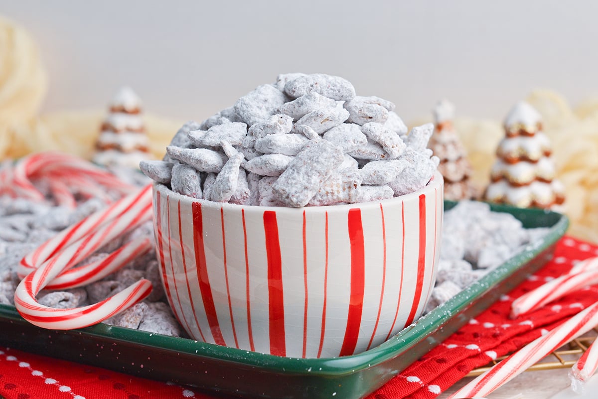 straight on shot of puppy chow in red and white striped bowl