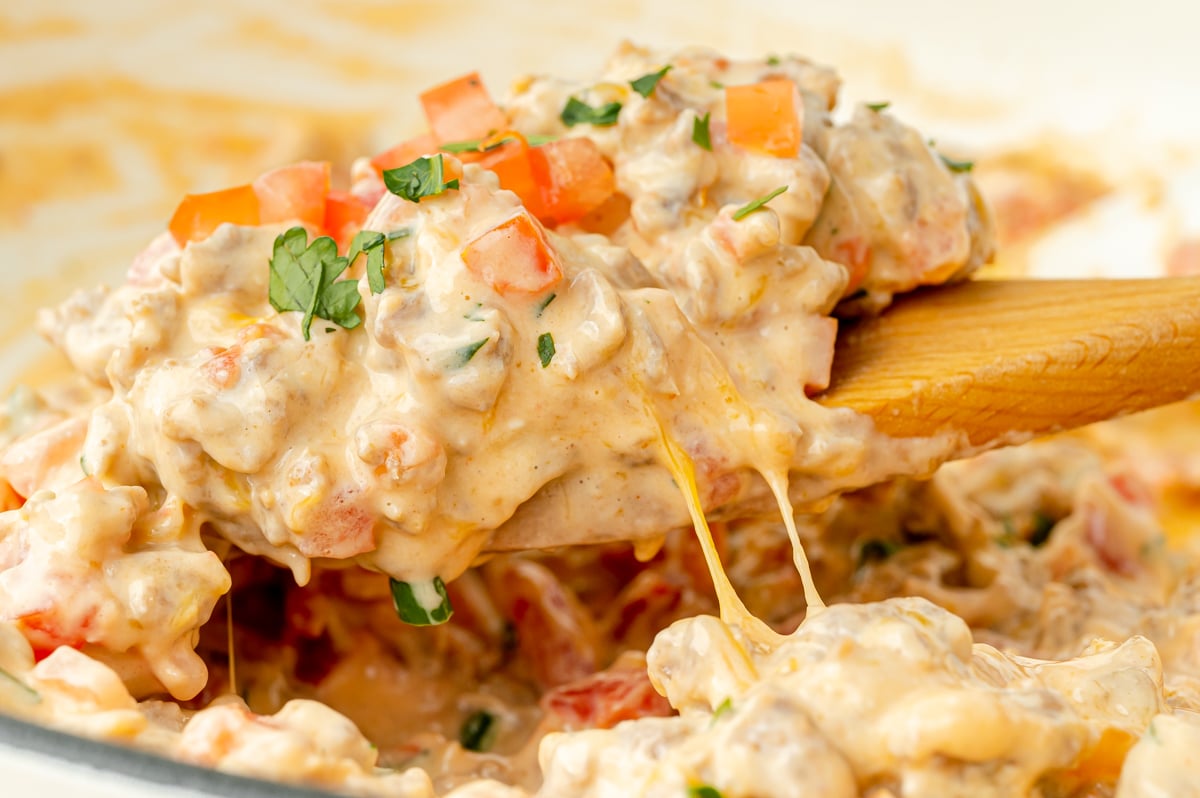 wooden spoon scooping up creamy dip