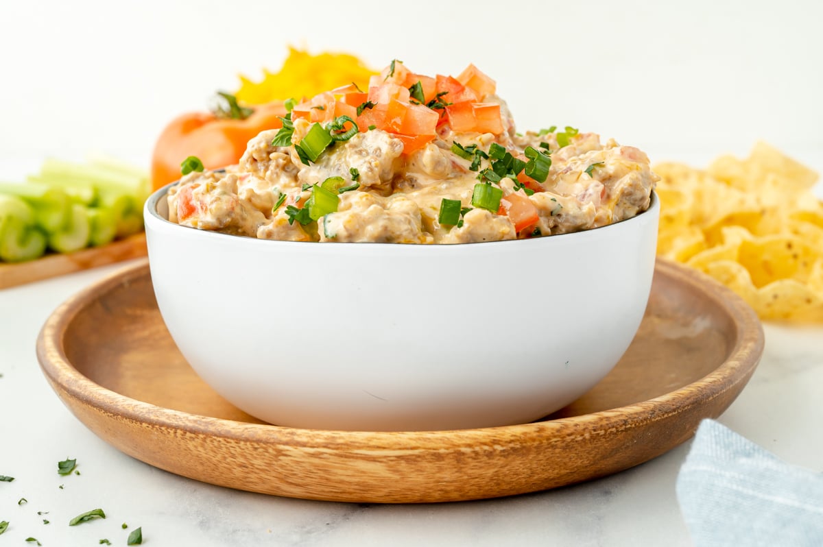 straight on shot of bowl of sausage dip