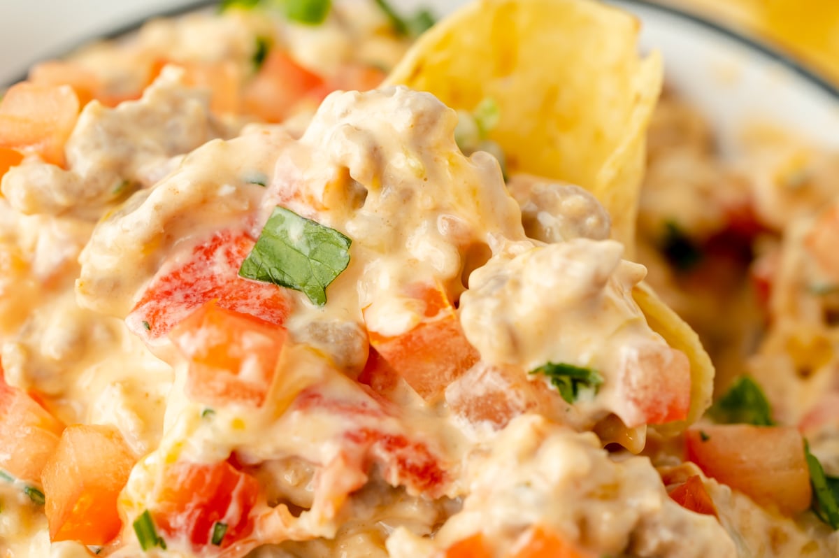 close up of chip scooping up dip