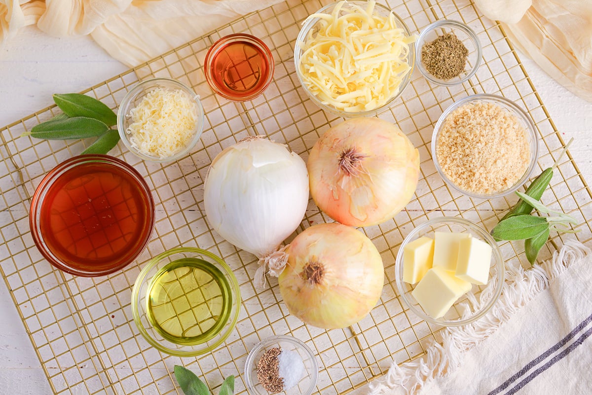 ingredients for melting onions recipe
