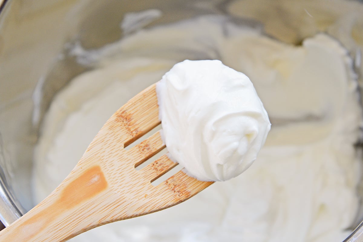 thick yogurt on a spoon