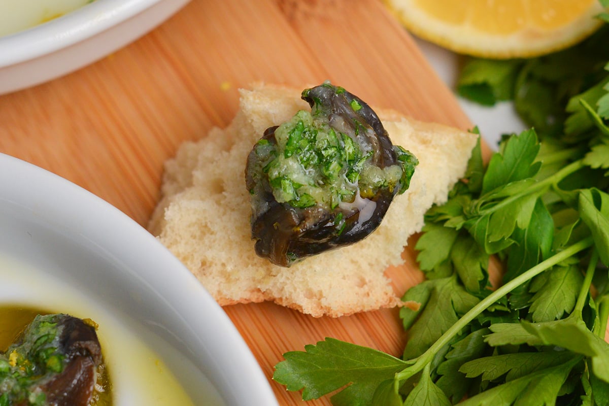 wild burgundy snail on a piece of bread