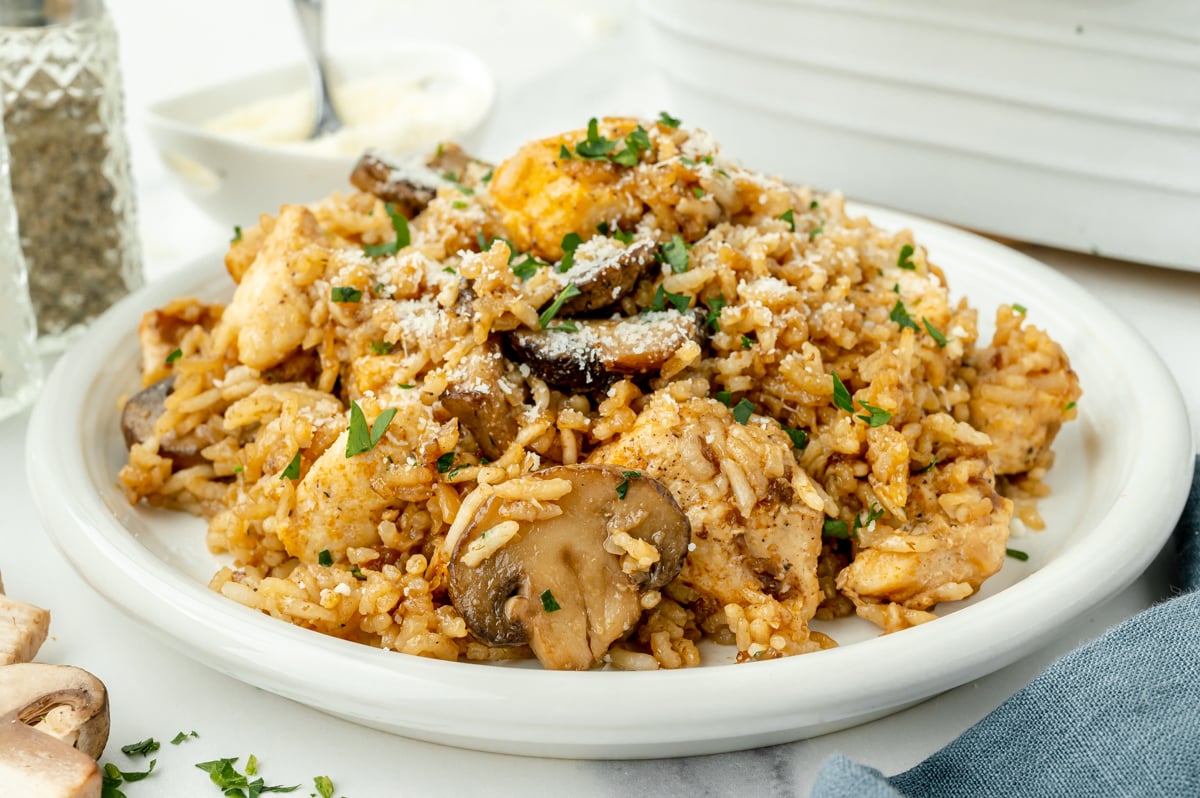 angled shot of plate of chicken and rice