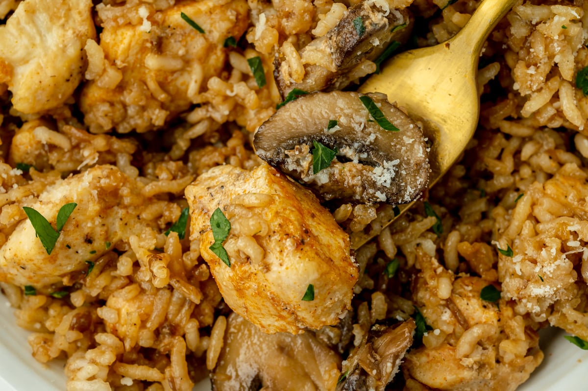 close up of stick of butter chicken and rice on fork