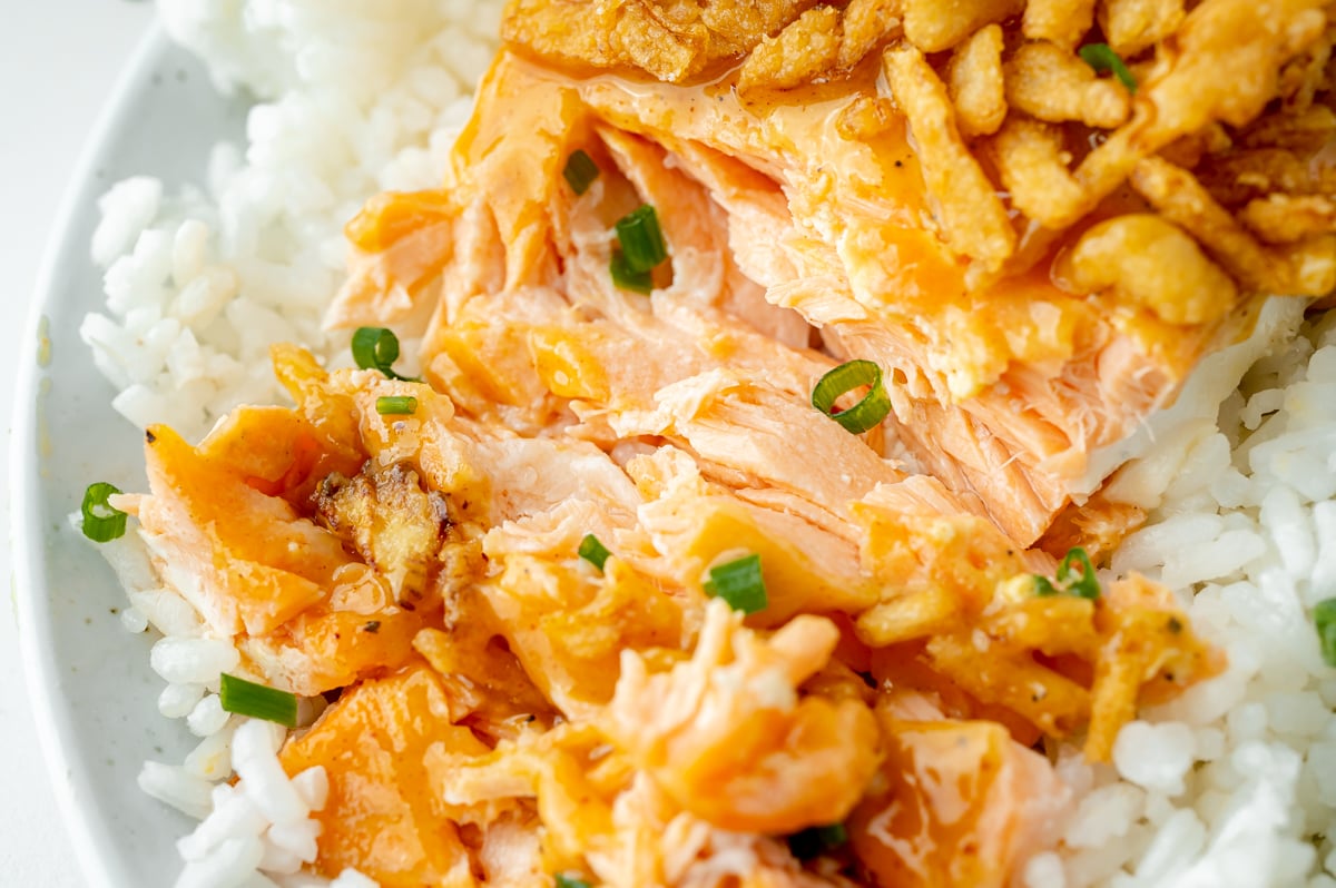 close up of shredded salmon