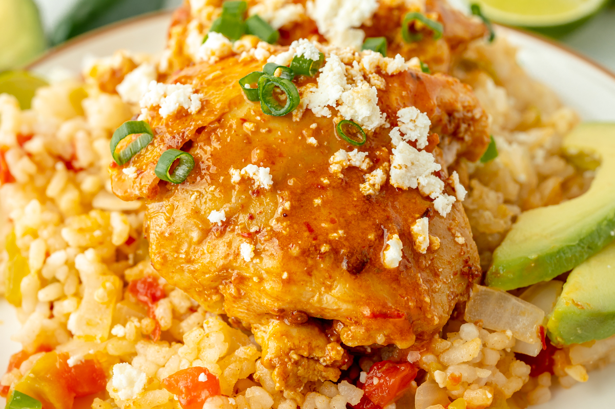 close up angled shot of arroz con pollo on plate