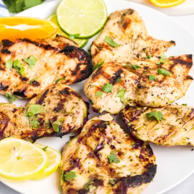angled shot of plate of grilled chicken